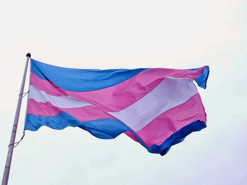 Bandeira-do-Orgulho-Trans